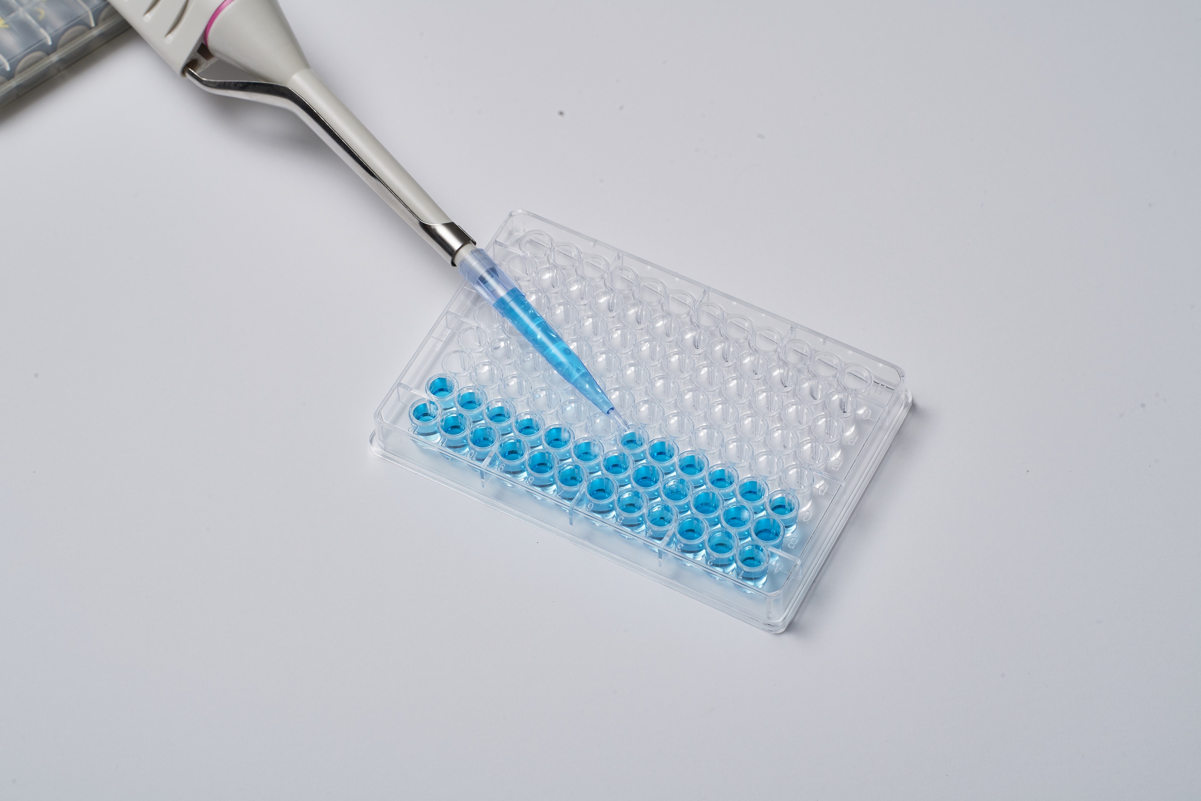 Pipette filling wellplate for lyophilization at medical device manufacturing facility.